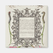 Damselflies, Caterpilaren, anjers en dichter Magneet (Voorkant)