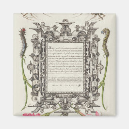 Damselflies, Caterpilaren, anjers en dichter Magneet