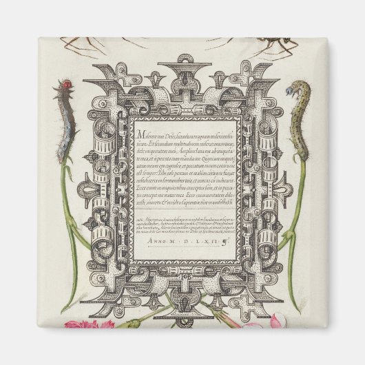 Damselflies, Caterpilaren, anjers en dichter Magneet (Voorkant)