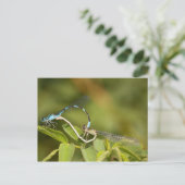 Damselflies Mating Briefkaart (Staand voorkant)