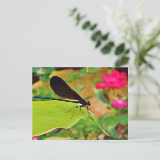 Damselfly en Roos Briefkaart (Staand voorkant)