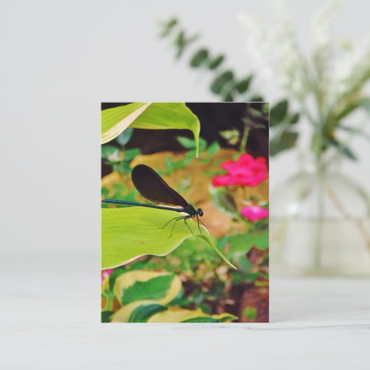 Damselfly en Roos Briefkaart (Staand voorkant)