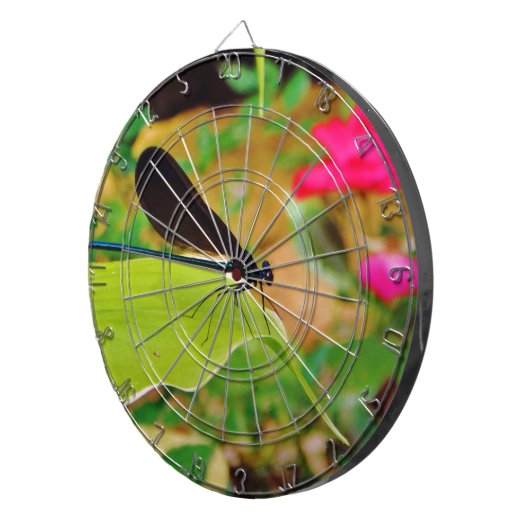 Damselfly en Roos Dartbord (Voorkant Rechts)