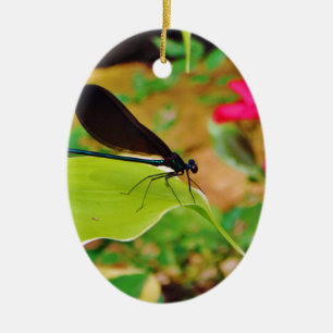 Damselfly en Roos Keramisch Ornament