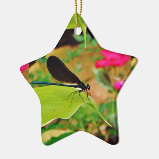 Damselfly en Roos Keramisch Ornament (Links)