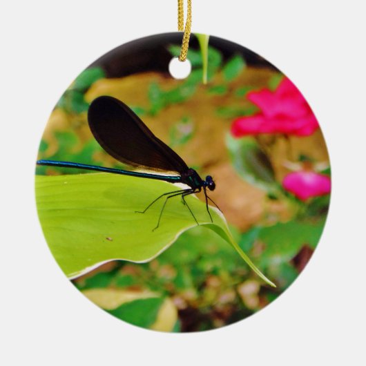 Damselfly en Roos Keramisch Ornament (Voorkant)