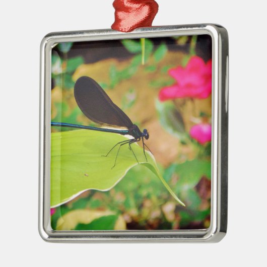 Damselfly en Roos Metalen Ornament (Links)