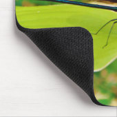 Damselfly en Roos Muismat (Hoek)