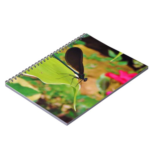 Damselfly en Roos Notitieboek (Linkerzijde)