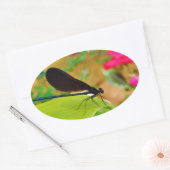 Damselfly en Roos Ovale Sticker (Envelop)