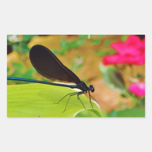 Damselfly en Roos Rechthoekige Sticker (Voorkant)