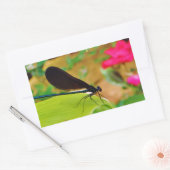 Damselfly en Roos Rechthoekige Sticker (Envelop)