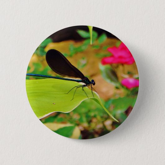 Damselfly en Roos Ronde Button 5,7 Cm (Voorkant)