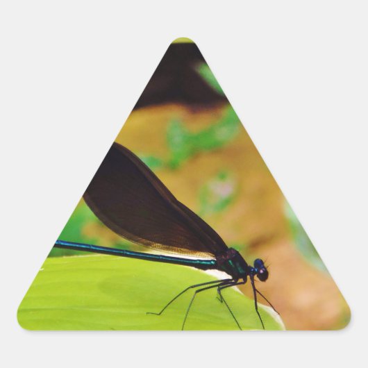 Damselfly en Roos Sticker (Voorkant)