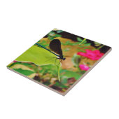 Damselfly en Roos Tegeltje (Zijkant)