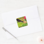 Damselfly en Roos Vierkante Sticker (Envelop)