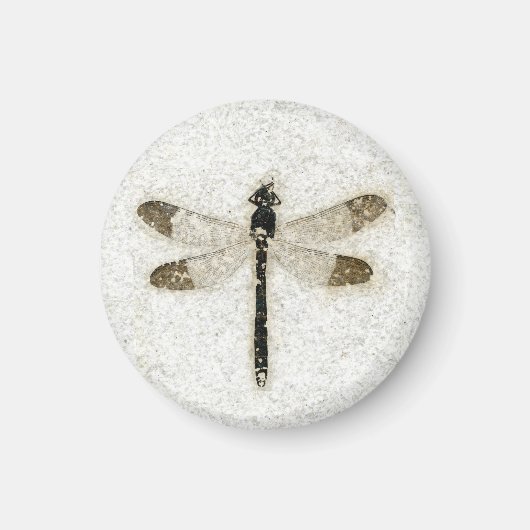 Damselfly Fossil, Fossil Butte NM, Wyoming Magneet (Voorkant)