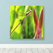 Damselfly gebalanceerd op een blokkop canvas afdruk (Insitu (Houten vloer))