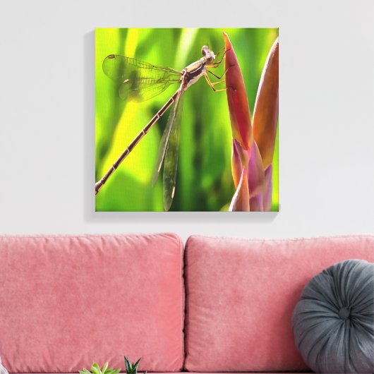 Damselfly gebalanceerd op een blokkop canvas afdruk (Insitu (Woonkamer))