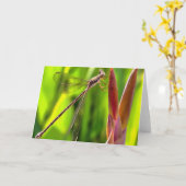 Damselfly gebalanceerd op een blokkop kaart (Gele Bloem)