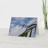 Damselfly in Blue Sky Kaart (Voorkant)