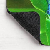 Damselfly Muismat (Hoek)