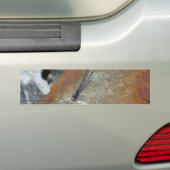 Damselfly Natuur Bumpersticker Car Art (Op auto)
