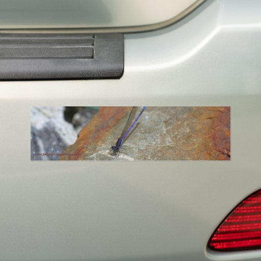 Damselfly Natuur Bumpersticker Car Art (Op auto)