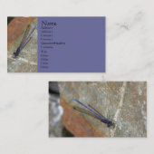 Damselfly Natuur Fotografie Visitekaartje (Voorkant / Achterkant)