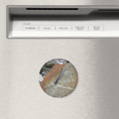 Damselfly Natuur Fotografiemagnet Magneet (Insitu (Vaatwasser))