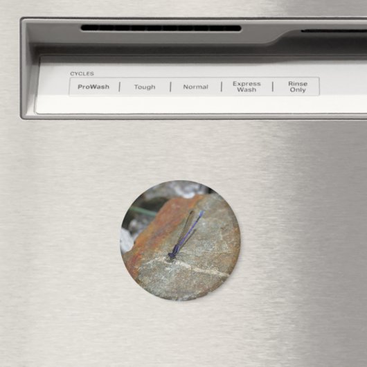 Damselfly Natuur Fotografiemagnet Magneet (Insitu (Vaatwasser))