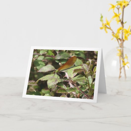 Damselfly Portrait Kaart (Gele Bloem)