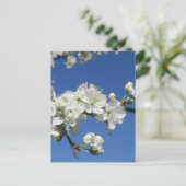 Damson Bloesem Briefkaart (Staand voorkant)