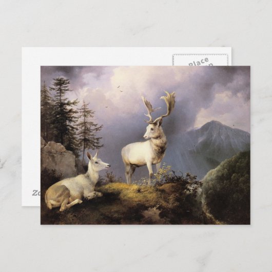 Damwild, Friedrich Gauermann, 1833 Briefkaart (Voorkant / Achterkant)