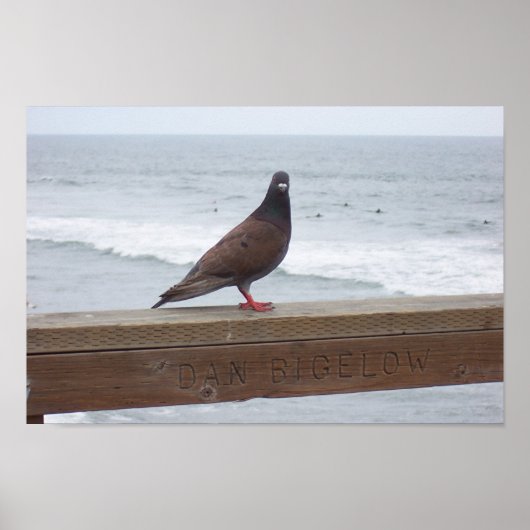 Dan Bigelow Poster (Voorkant)