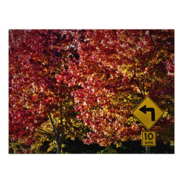 "Dan is alles goed" Foto Afdruk