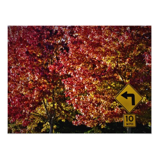 "Dan is alles goed" Foto Afdruk (Voorkant)