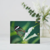 Dana Briefkaart (Staand voorkant)