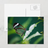 Dana Briefkaart (Voorkant / Achterkant)