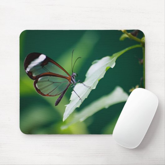 Dana Mousepad Muismat (Met muis)