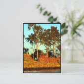 Dana Point Briefkaart (Staand voorkant)