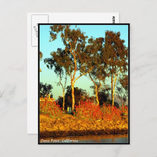 Dana Point Briefkaart (Voorkant / Achterkant)