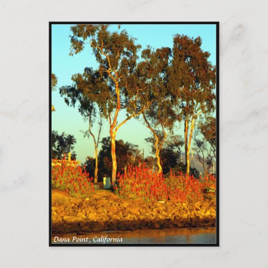 Dana Point Briefkaart (Voorkant)