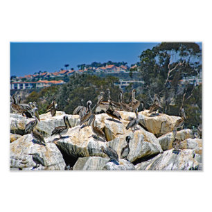 Dana Point Foto Afdruk