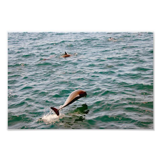 Dana Point Foto Afdruk (Voorkant)