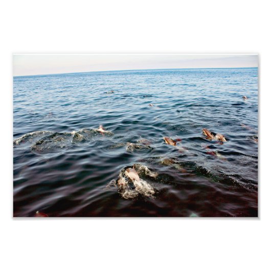 Dana Point Foto Afdruk (Voorkant)