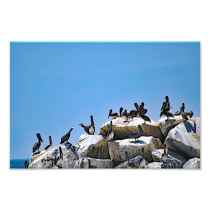Dana Point Foto Afdruk
