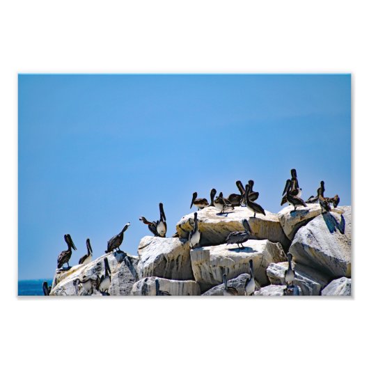 Dana Point Foto Afdruk (Voorkant)