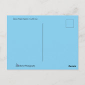 Dana Point Harbour California Briefkaart (Achterkant)