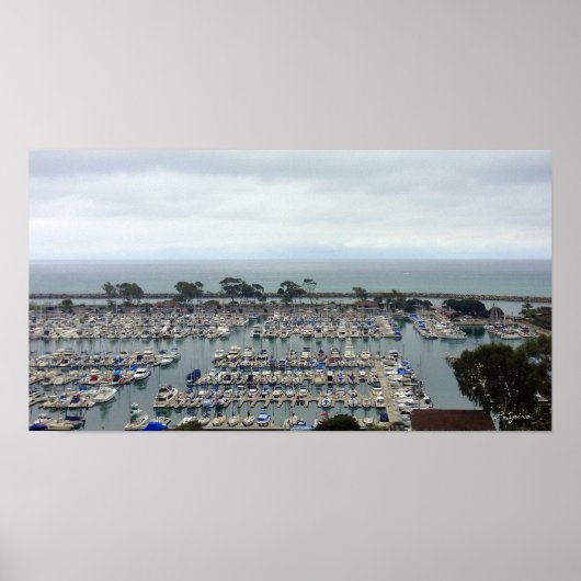 Dana Point Marina Poster (Voorkant)